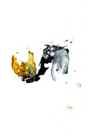 marco morosin no title 16.jpg